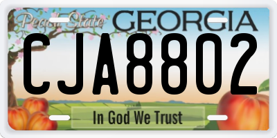 GA license plate CJA8802