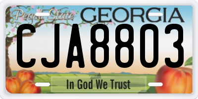 GA license plate CJA8803
