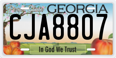 GA license plate CJA8807