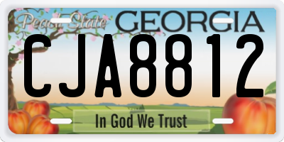 GA license plate CJA8812