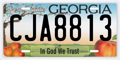 GA license plate CJA8813