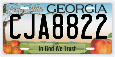 GA license plate CJA8822