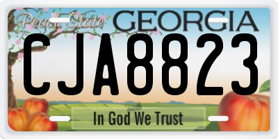 GA license plate CJA8823