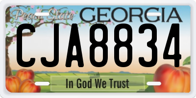 GA license plate CJA8834