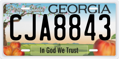 GA license plate CJA8843