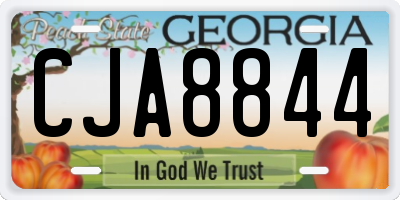 GA license plate CJA8844