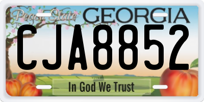 GA license plate CJA8852