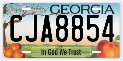 GA license plate CJA8854