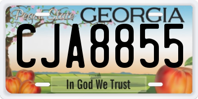 GA license plate CJA8855
