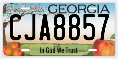 GA license plate CJA8857