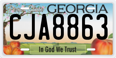 GA license plate CJA8863