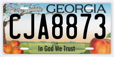 GA license plate CJA8873