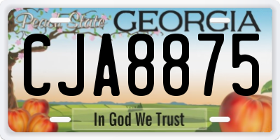GA license plate CJA8875