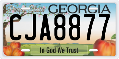 GA license plate CJA8877