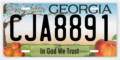 GA license plate CJA8891