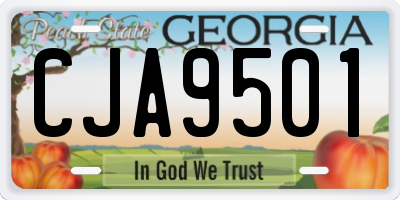 GA license plate CJA9501
