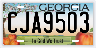 GA license plate CJA9503
