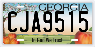 GA license plate CJA9515