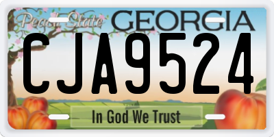 GA license plate CJA9524