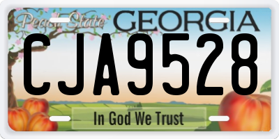 GA license plate CJA9528