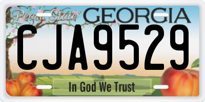 GA license plate CJA9529