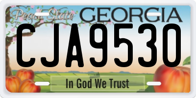 GA license plate CJA9530