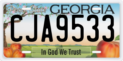 GA license plate CJA9533