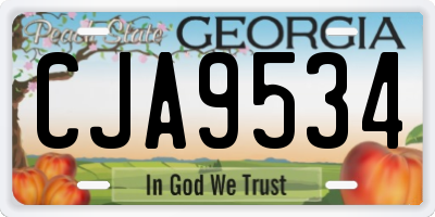 GA license plate CJA9534