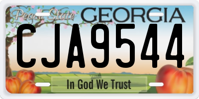 GA license plate CJA9544