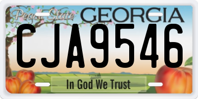 GA license plate CJA9546