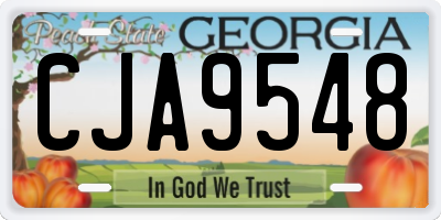 GA license plate CJA9548