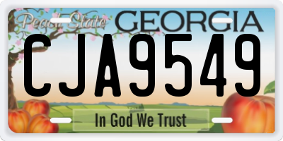 GA license plate CJA9549
