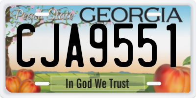 GA license plate CJA9551