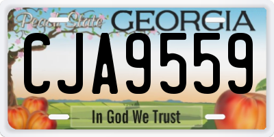 GA license plate CJA9559