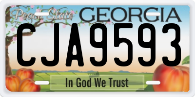 GA license plate CJA9593