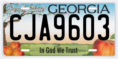 GA license plate CJA9603