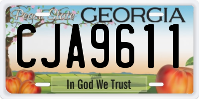 GA license plate CJA9611