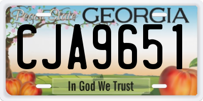 GA license plate CJA9651