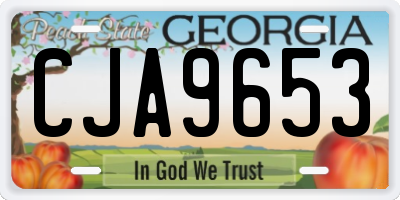 GA license plate CJA9653