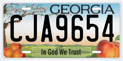 GA license plate CJA9654