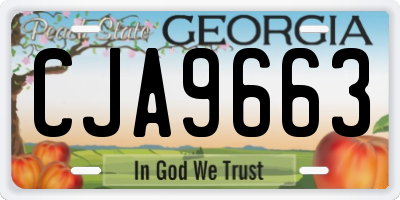 GA license plate CJA9663