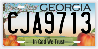 GA license plate CJA9713