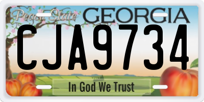 GA license plate CJA9734