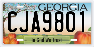 GA license plate CJA9801