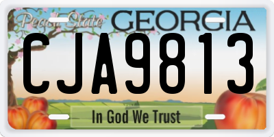 GA license plate CJA9813