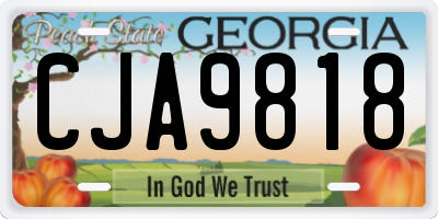 GA license plate CJA9818