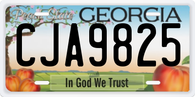 GA license plate CJA9825