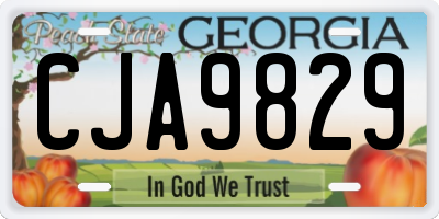GA license plate CJA9829