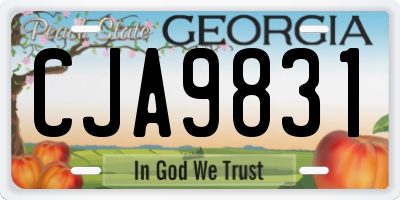 GA license plate CJA9831