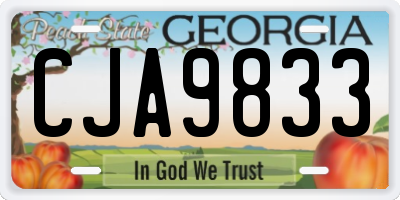 GA license plate CJA9833